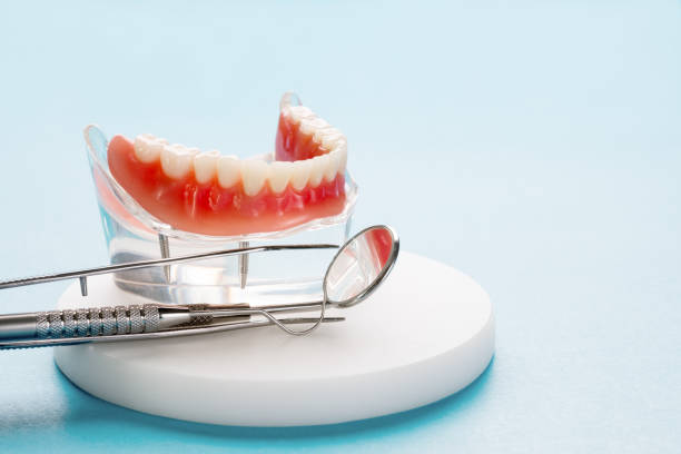 Best Dental Exams and Cleanings  in North Redington Beach, FL